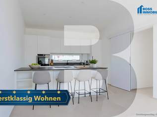 Technika Deluxe | Haus 1, 667000 €, Immobilien-Häuser in 4050 Traun