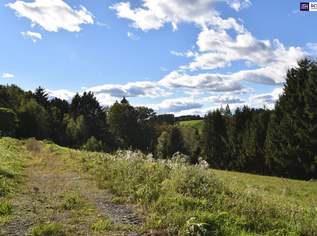 Rastbühel – Wohnen am Stadtrand mit Blick ins Grüne, 246400 €, Immobilien-Grund und Boden in Steiermark