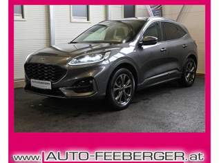 Kuga 2,0 EcoBlue AWD ST-Line X Aut. LED,Head Up, AH..., 18990 €, Auto & Fahrrad-Autos in 8753 Fohnsdorf Kuga 2,0 EcoBlue AWD ST-Line X Aut. LED,Head Up, AH..., 18990 €, Auto & Fahrrad-Autos in 8753 Fohnsdorf