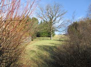 Einfamilienhaus in Totzenbach in herrlicher Ruhelage mit tollem Ausblick und sensationellem Weinkeller. Provisionsfrei