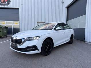 Octavia TDI Kombi, 16500 €, Auto & Fahrrad-Autos in 2353 Gemeinde Guntramsdorf