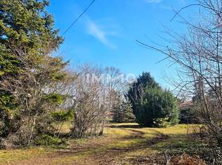 Bauträger oder Privatperson: Traumhaftes Grundstück mit Altbaumbestand in ruhiger Lage - teilbar, 2247400 €, Immobilien-Grund und Boden in 2425 Nickelsdorf