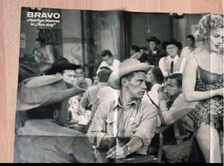 Bravo Poster original 1970er Jahre mit Marylin Monroe und David Cassidy, 20 €, Marktplatz-Antiquitäten, Sammlerobjekte & Kunst in 1220 Donaustadt