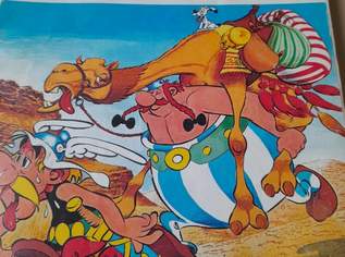 Asterix Band 26