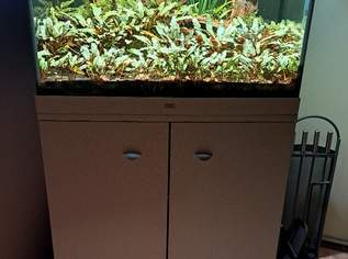 aquarium mit unterbau, 300 €, Marktplatz-Beauty, Gesundheit & Wellness in 1100 Favoriten aquarium mit unterbau, 300 €, Marktplatz-Beauty, Gesundheit & Wellness in 1100 Favoriten