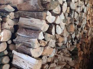 Brennholz gemischt, 300 €, Haus, Bau, Garten-Hausbau & Werkzeug in 8261 Sinabelkirchen