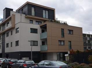 Gemütliche Wohnung mit Loggia in 1220 Wien, 598.3 €, Immobilien-Wohnungen in 1220 Donaustadt Gemütliche Wohnung mit Loggia in 1220 Wien, 598.3 €, Immobilien-Wohnungen in 1220 Donaustadt