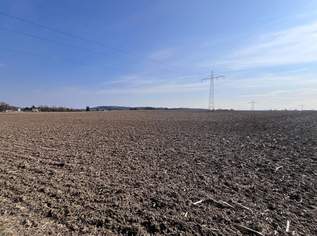 Grundstück zum Entwickeln, 0 €, Immobilien-Grund und Boden in 4975 Suben Grundstück zum Entwickeln, 0 €, Immobilien-Grund und Boden in 4975 Suben