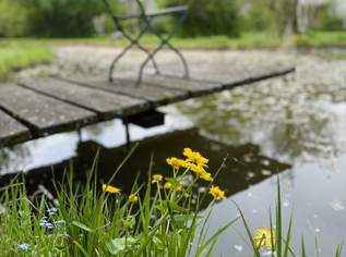 Naturjuwel in Gottsdorf – exklusives 4ha großes Grundstück mit drei Teichen, 510780 €, Immobilien-Grund und Boden in 3680 Gottsdorf Naturjuwel in Gottsdorf – exklusives 4ha großes Grundstück mit drei Teichen, 510780 €, Immobilien-Grund und Boden in 3680 Gottsdorf