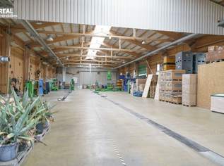 Moderne 1.620m² Lager- Produktionshalle in Autobahnnähe mit 519m² Wohn-/Bürogebäude und 273m² Keller!, 1200000 €, Immobilien-Gewerbeobjekte in 7013 Klingenbach