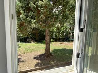 2 Zimmer im EG einer Villa - Erstbezug, 537.03 €, Immobilien-Wohnungen in 2500 Gemeinde Baden