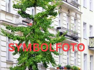 STILZINSHAUS mit freien Einheiten, 5000000 €, Immobilien-Gewerbeobjekte in 1070 Neubau