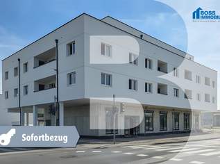Modern Living | Top 11 | mit Luxus-Terrasse | Sofortbezug, 585000 €, Immobilien-Wohnungen in 4050 Traun Modern Living | Top 11 | mit Luxus-Terrasse | Sofortbezug, 585000 €, Immobilien-Wohnungen in 4050 Traun