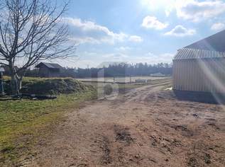 REITANLAGE ODER ANDERE VIELE MÖGLICHKEITEN!, 2661982.4 €, Immobilien-Grund und Boden in 2230 Gemeinde Gänserndorf