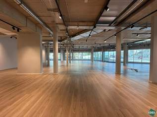 Maximale Frequenz & Sichtbarkeit – Geschäftsfläche gegenüber der Badner Bahn und stark frequentierter Pkw-Kreuzung, 11970.4 €, Immobilien-Gewerbeobjekte in 2351 Gemeinde Wiener Neudorf