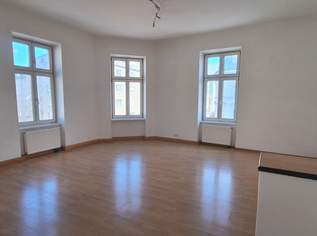 Schöne loftartige 56m² große 2 Zi Wohnung in innerstädtischer Lage, 834.46 €, Immobilien-Wohnungen in 1050 Margareten