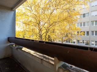 Renovierungsbedürftige 3-Zimmer-Wohnung mit Loggia in Leopoldsdorf – Ihr neues Zuhause!, 164000 €, Immobilien-Wohnungen in 2285 Gemeinde Leopoldsdorf im Marchfelde Renovierungsbedürftige 3-Zimmer-Wohnung mit Loggia in Leopoldsdorf – Ihr neues Zuhause!, 164000 €, Immobilien-Wohnungen in 2285 Gemeinde Leopoldsdorf im Marchfelde