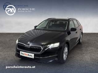 Octavia Selection TDI DSG, 32890 €, Auto & Fahrrad-Autos in 9020 Innere Stadt