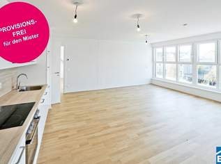 Moderne 2-Zimmer-Wohnung mit 2 Terrassen in 1210 Wien – Ihr neues Zuhause wartet!, 1399 €, Immobilien-Wohnungen in 1210 Floridsdorf Moderne 2-Zimmer-Wohnung mit 2 Terrassen in 1210 Wien – Ihr neues Zuhause wartet!, 1399 €, Immobilien-Wohnungen in 1210 Floridsdorf