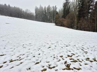 WIESEN Teil 3, 33500 €, Immobilien-Grund und Boden in 3233 Kettenreith