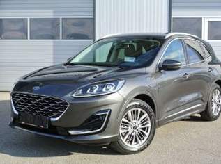 Kuga 2,5 Duratec PHEV Vignale Aut. * LEDER * AHK *NAVI, 24690 €, Auto & Fahrrad-Autos in 4693 Desselbrunn Kuga 2,5 Duratec PHEV Vignale Aut. * LEDER * AHK *NAVI, 24690 €, Auto & Fahrrad-Autos in 4693 Desselbrunn