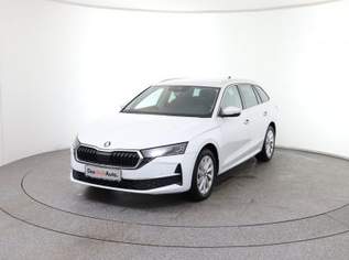 Octavia Selection TDI DSG, 36890 €, Auto & Fahrrad-Autos in 8792 St. Peter-Freienstein