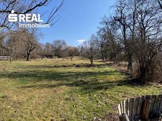 Seltene Gelegenheit: Großes Haus mit 3.100 m² Grundstück in Bad Tatzmannsdorf, 369000 €, Immobilien-Häuser in 7431 Bad Tatzmannsdorf