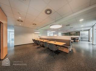 Büroflächen in Gerasdorf bei Wien, 6400 €, Immobilien-Gewerbeobjekte in 2201 Gerasdorf bei Wien