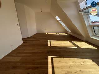 Superprojekt: ''Über den Baumwipfeln" TOP 52 mit PANORAMA-DACHTERRASSE & WIEN-BLICK, 679000 €, Immobilien-Wohnungen in 1100 Favoriten