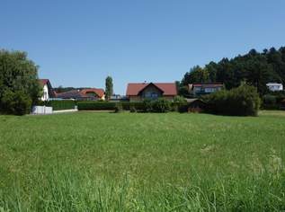 Ihr Platz fürs Traumhaus: Grundstück in Gnieß-Sinabelkirchen, 90000 €, Immobilien-Grund und Boden in 8261 Sinabelkirchen Ihr Platz fürs Traumhaus: Grundstück in Gnieß-Sinabelkirchen, 90000 €, Immobilien-Grund und Boden in 8261 Sinabelkirchen