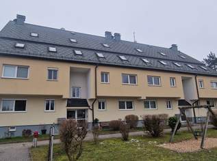 00940 00163 / 2-Zimmer-Wohnung in Ennsdorf, 328 €, Immobilien-Wohnungen in 4482 Ennsdorf