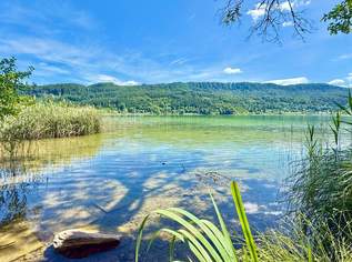 *DREAM PLACE* Keutschach am See: Villenbaugrund mit privatem Badeplatz, 985000 €, Immobilien-Grund und Boden in 9074 Keutschach am See