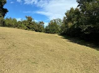 Toller Baugrund nähe Linz und ohne Bauzwang, 228250 €, Immobilien-Grund und Boden in 4225 Luftenberg an der Donau Toller Baugrund nähe Linz und ohne Bauzwang, 228250 €, Immobilien-Grund und Boden in 4225 Luftenberg an der Donau