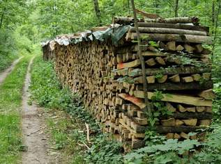 Brennholz, 95 €, Haus, Bau, Garten-Hausbau & Werkzeug in 3376 Sankt Martin-Karlsbach