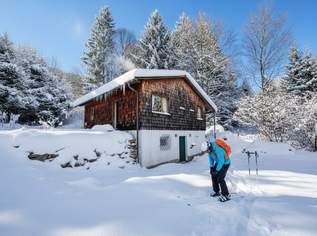 Berghütte am Fuße des Skilifts | Wandern im Sommer, Skifahren im Winter | Zirbenholz-Ausstattung | Kaminofen, 249000 €, Immobilien-Häuser in 2870 Neustift am Hartberg