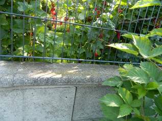 Gartengrundstück Gartengrundstück