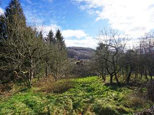 Grundstück mit Panoramablick an der Wiener Stadtgrenze, 590000 €, Immobilien-Grund und Boden in 3001 Gemeinde Mauerbach Grundstück mit Panoramablick an der Wiener Stadtgrenze, 590000 €, Immobilien-Grund und Boden in 3001 Gemeinde Mauerbach