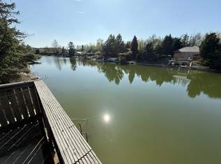 EIGENGRUND - Sommeridylle am Badesee im Erholungszentrum Lassee, 229000 €, Immobilien-Häuser in 2291 Gemeinde Lassee EIGENGRUND - Sommeridylle am Badesee im Erholungszentrum Lassee, 229000 €, Immobilien-Häuser in 2291 Gemeinde Lassee