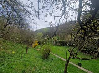 LIEBEVOLLES WOHNJUWEL MIT PARKÄHNLICHEM GARTEN IN TRAUMHAFTER WALDRANDLAGE MIT HERRLICHEM AUSBLICK UNWEIT VOM STAUSEE KRONSEGG, 347000 €, Immobilien-Häuser in 3553 Reith LIEBEVOLLES WOHNJUWEL MIT PARKÄHNLICHEM GARTEN IN TRAUMHAFTER WALDRANDLAGE MIT HERRLICHEM AUSBLICK UNWEIT VOM STAUSEE KRONSEGG, 347000 €, Immobilien-Häuser in 3553 Reith