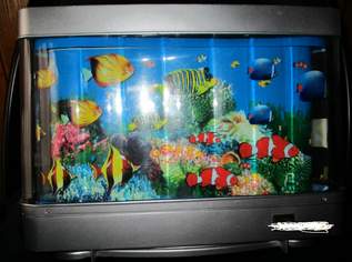 Kinder Aqarium, 50 €, Kindersachen-Spielzeug in 6655 Gemeinde Kaisers