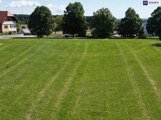Wagnerberg Vibes - ein wunderschönes 3220m² Baugrundstück mit Gefühl und Format!, 395000 €, Immobilien-Grund und Boden in 8271 Wagerberg Wagnerberg Vibes - ein wunderschönes 3220m² Baugrundstück mit Gefühl und Format!, 395000 €, Immobilien-Grund und Boden in 8271 Wagerberg