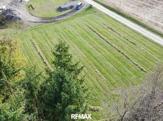 Sehenswerter Baugrund im wunderschönen Ehrenhausen an der Weinstrasse, 169000 €, Immobilien-Grund und Boden in 8461 Ehrenhausen an der Weinstraße
