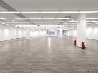 Geschäftslokal mit ca. 605m² in Einkaufspassage! Zentrumslage & gratis Kundenparkplätze!, 6472.86 €, Immobilien-Gewerbeobjekte in 2000 Gemeinde Stockerau