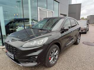 Kuga 2,0 EcoBlue AWD ST-Line X Aut., 27900 €, Auto & Fahrrad-Autos in 4812 Pinsdorf Kuga 2,0 EcoBlue AWD ST-Line X Aut., 27900 €, Auto & Fahrrad-Autos in 4812 Pinsdorf