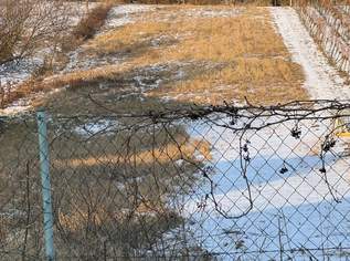 Rarität ! Attraktives, großzügiges Grundstück am Fuß des Bisambergs !, 1100000 €, Immobilien-Grund und Boden in 2103 Langenzersdorf