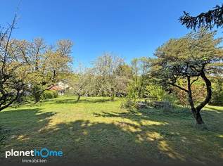 Schöner Grund nahe Wien, 550000 €, Immobilien-Grund und Boden in Niederösterreich