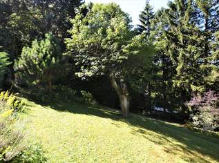 Baugrundstück im Augustinerwald - Naturidylle mit Hanglage, 330000 €, Immobilien-Grund und Boden in 1140 Penzing Baugrundstück im Augustinerwald - Naturidylle mit Hanglage, 330000 €, Immobilien-Grund und Boden in 1140 Penzing