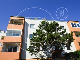 Moderne 3-Zimmer-Loggia-Wohnung in Grünruhelage!, 249000 €, Immobilien-Wohnungen in 3100 Stattersdorf