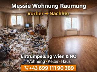 Wohnung Entrümpelung günstig Wien