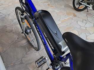 E-Bike 28 Zoll inkl.Akku 15,6Ah 250W Frontmotor